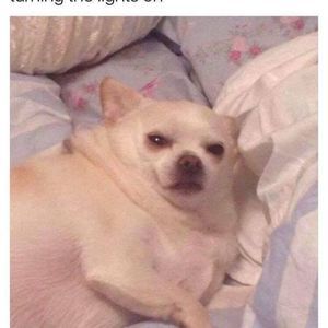 Meet your Posher, Evan